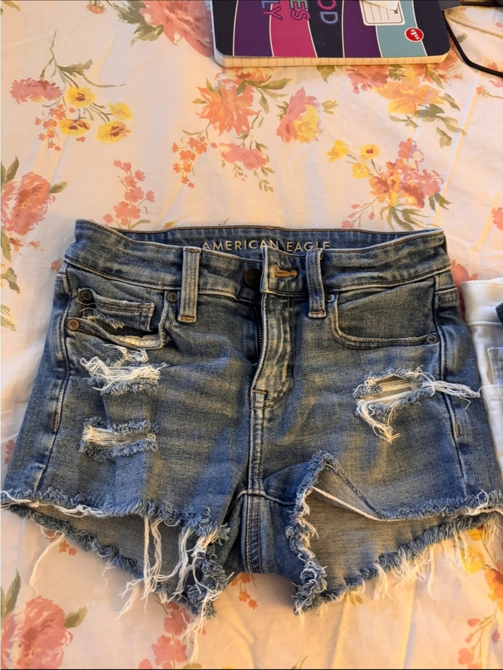 American Eagle Outfitters Distressed Light Blue Denim Shorts